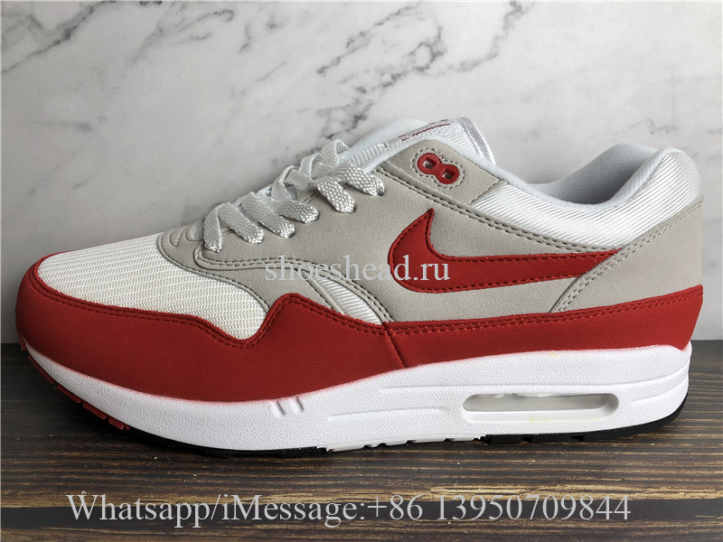 Nike Air Max 1 Anniversary