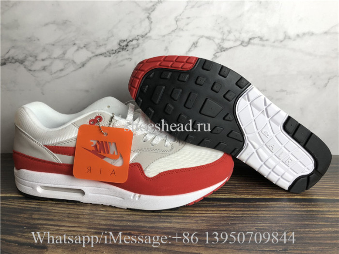 Nike Air Max 1 Anniversary