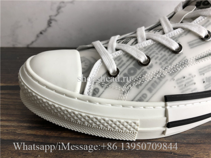 Dior B23 High Top Daniel Asham Newspaper
