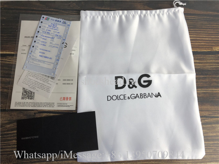 Dolce & Gabbana Portofino Sneakers Multicolor