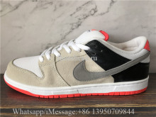 Nike Dunk SB Low Pro ISO