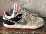 Nike Dunk SB Low Pro ISO