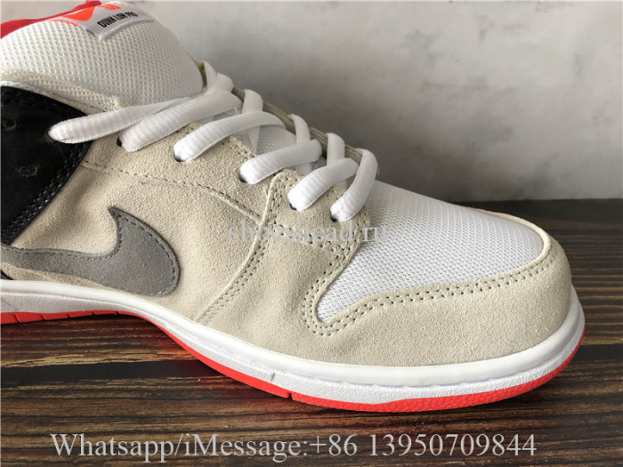 Nike Dunk SB Low Pro ISO
