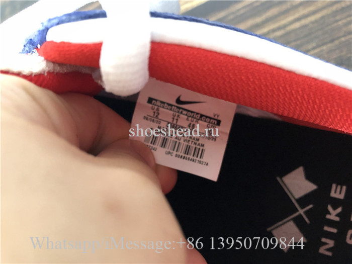 Nike SB Dunk Low Pro QS Ishod Wair