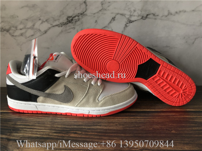 Nike Dunk SB Low Pro ISO