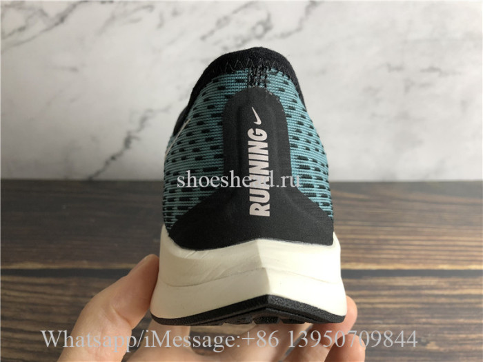 Nike Zoom Pegasus Turbo 2 Blue