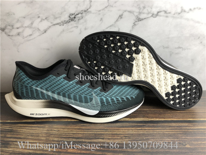 Nike Zoom Pegasus Turbo 2 Blue