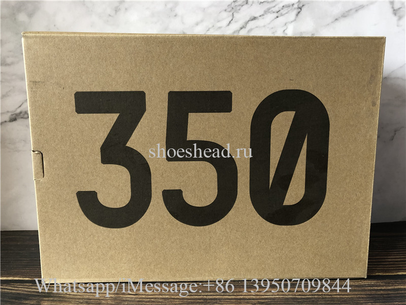 Adidas Yeezy Boost 350 V2 Yeshaya Reflective