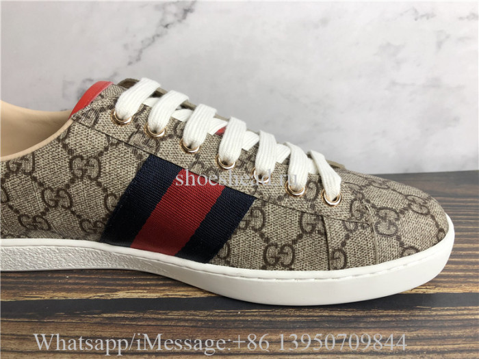 Super Quality Gucci GG Canvas New Age Sneaker