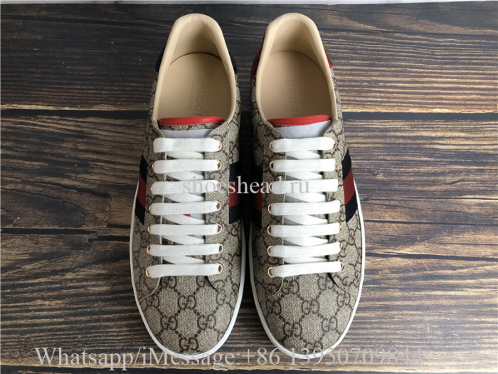 Super Quality Gucci GG Canvas New Age Sneaker