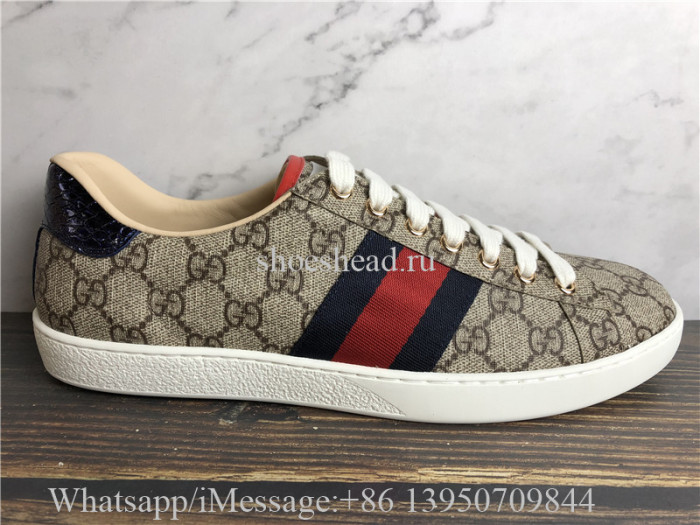 Super Quality Gucci GG Canvas New Age Sneaker