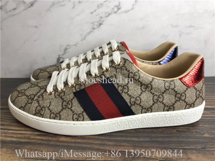 Super Quality Gucci GG Canvas New Age Sneaker