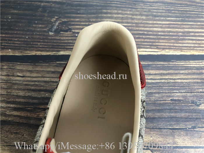 Super Quality Gucci GG Canvas New Age Sneaker