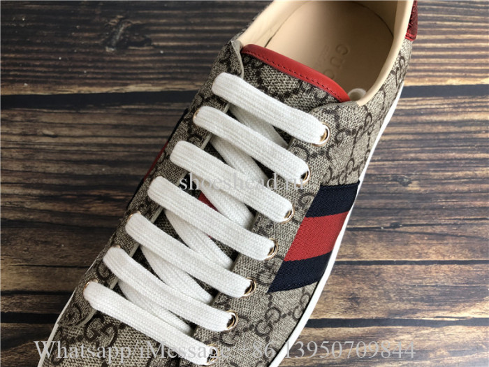 Super Quality Gucci GG Canvas New Age Sneaker