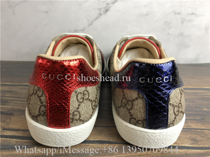 Super Quality Gucci GG Canvas New Age Sneaker