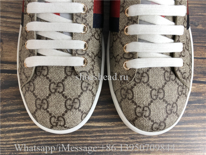 Super Quality Gucci GG Canvas New Age Sneaker