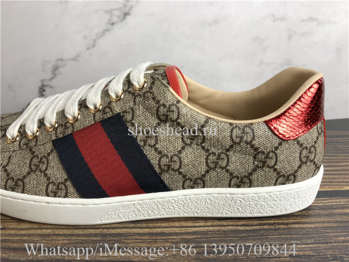 Super Quality Gucci GG Canvas New Age Sneaker