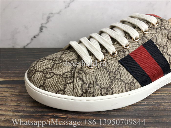 Super Quality Gucci GG Canvas New Age Sneaker