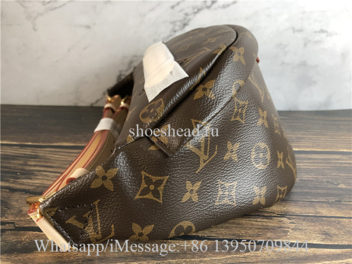 Original Quality Louis Vuitton Monogram Brown Bumbag M43644