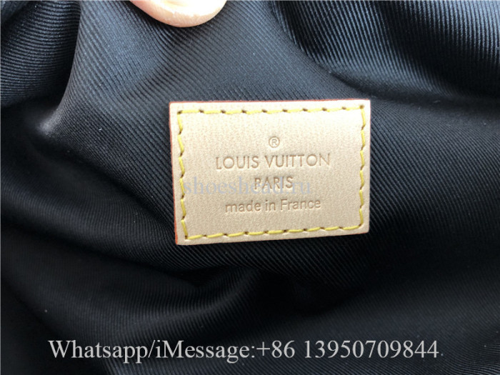 Original Quality Louis Vuitton Monogram Brown Bumbag M43644