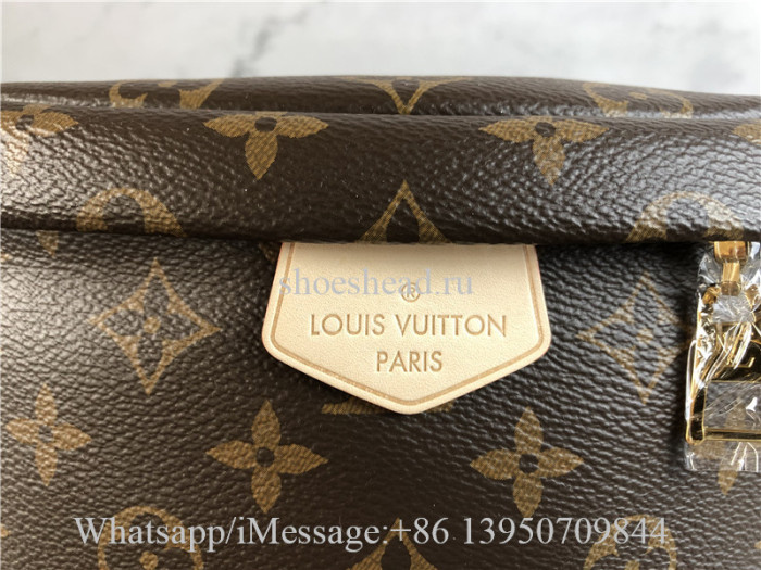 Original Quality Louis Vuitton Monogram Brown Bumbag M43644