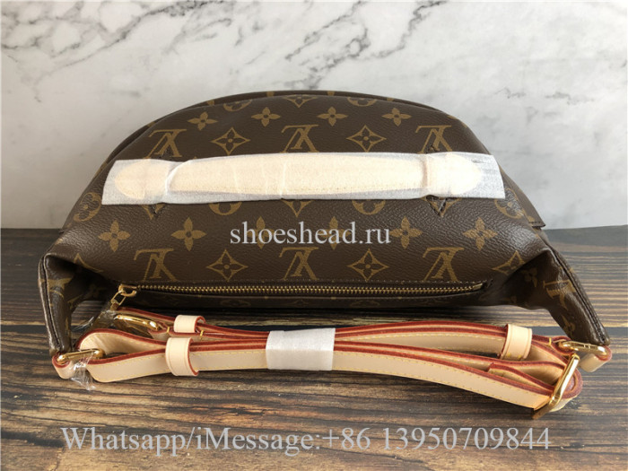 Original Quality Louis Vuitton Monogram Brown Bumbag M43644