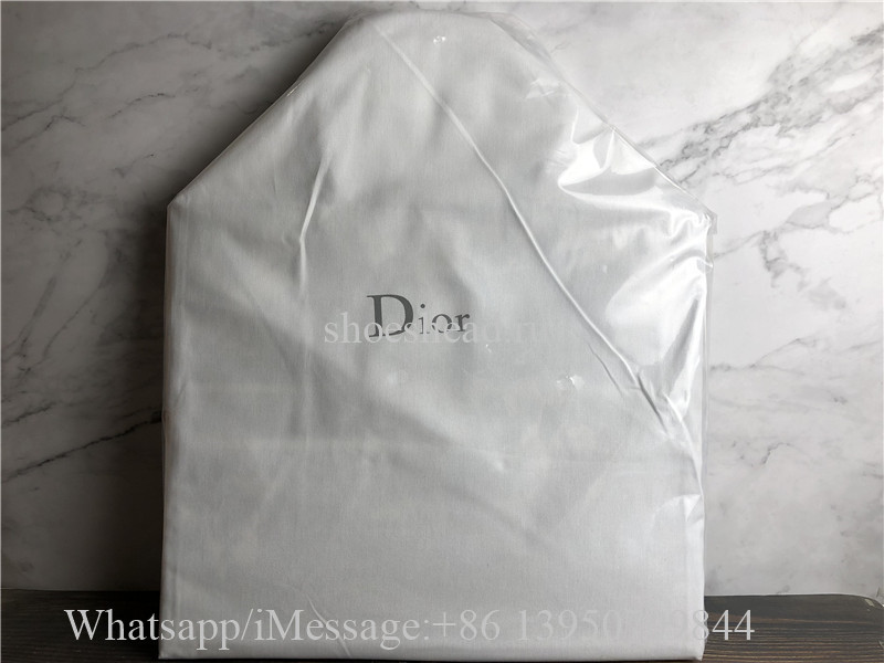 Original Dior Book Tote Blue Dior Palms Embroidery Bag