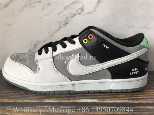 Nike SB Dunk Low VX1000 Camcorder