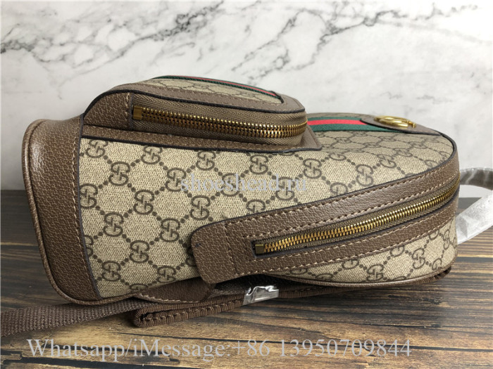Gucci Ophidia Leather Techno Backpack