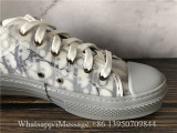 Dior B23 Low Top Sneaker Grey