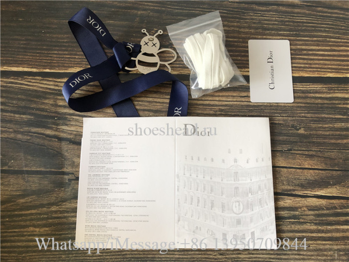 Dior B23 Low Top Sneaker Grey