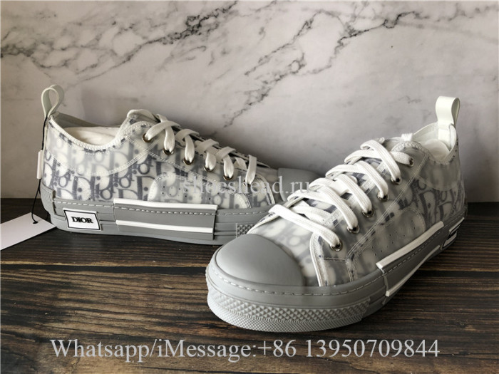 Dior B23 Low Top Sneaker Grey