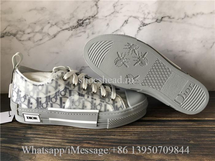 Dior B23 Low Top Sneaker Grey
