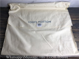 Original Louis Vuitton Discovery Backpack M45879