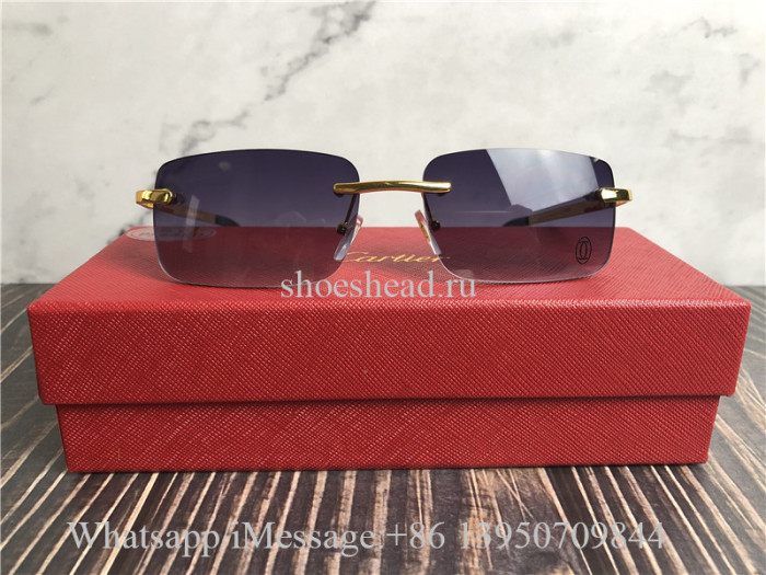 Cartier Sunglasses 5
