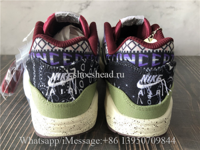 Concepts x Nike Air Max 1 SP Mellow