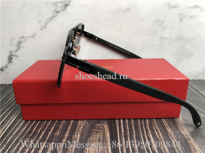 Cartier Sunglasses 6