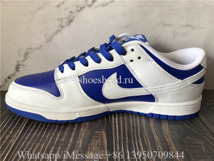 Nike Dunk Low Blue White DD1391-104