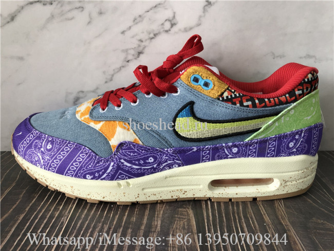 Nike Air Max 1 SP Concepts Far Out