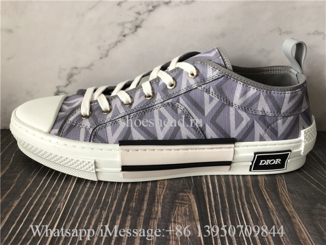 Dior B23 Low Top Sneaker Gray CD Diamond Canvas