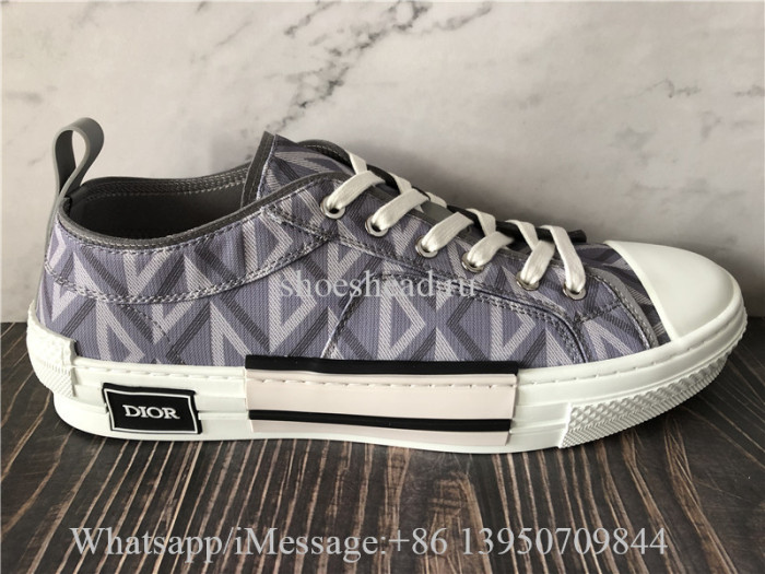 Dior B23 Low Top Sneaker Gray CD Diamond Canvas