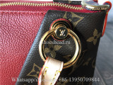 Original Louis Vuitton V Tote Monogram Canvas And Leather BB Bag