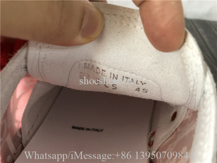 Dior B23 Low Top Sneaker Red Obilque