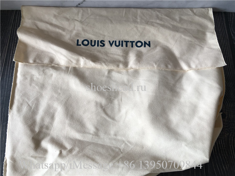Original Louis Vuitton Aerogram Backpack M57079
