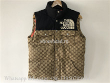 Gucci x The North Face Vest