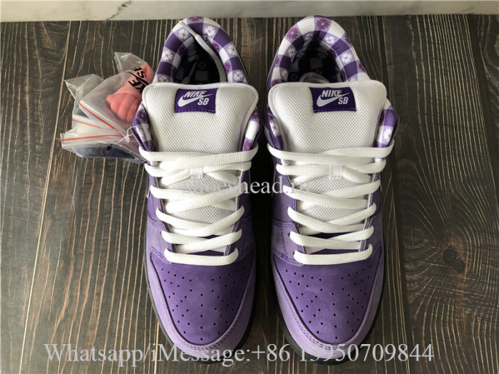 Concepts x Nike SB Dunk Low Pro OG QS Purple Lobster