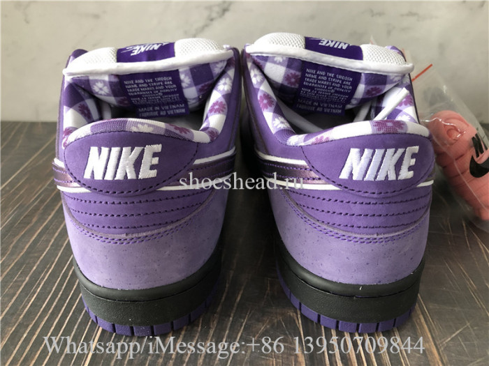 Concepts x Nike SB Dunk Low Pro OG QS Purple Lobster