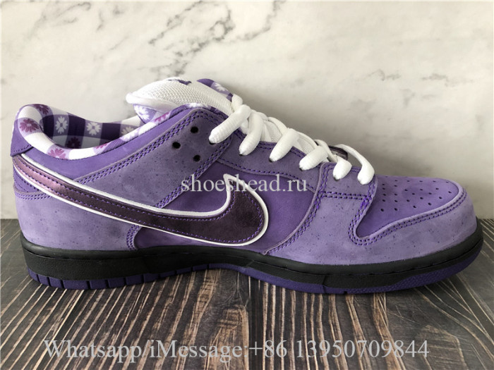 Concepts x Nike SB Dunk Low Pro OG QS Purple Lobster