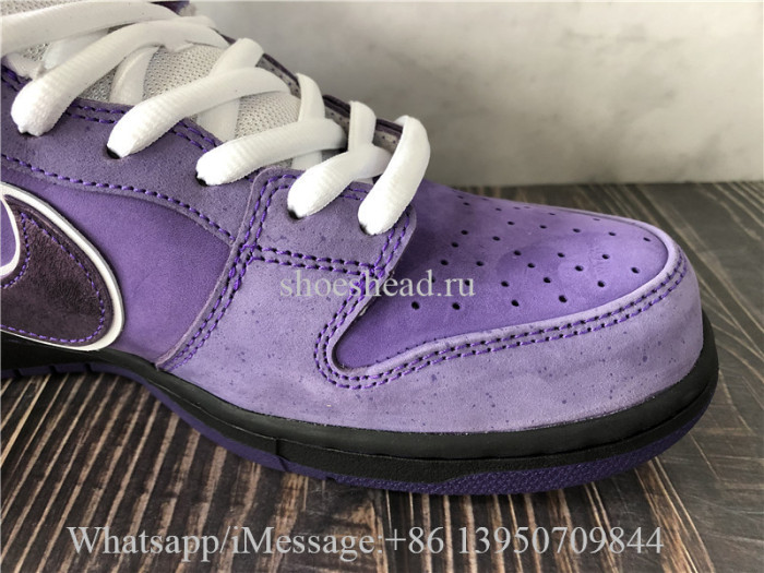 Concepts x Nike SB Dunk Low Pro OG QS Purple Lobster