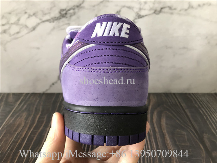 Concepts x Nike SB Dunk Low Pro OG QS Purple Lobster